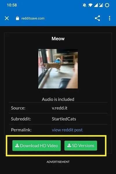 reddit download video from maestro